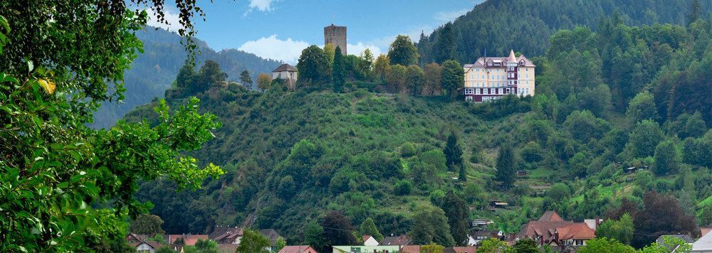 Hotel Schloss Hornberg Exterior foto