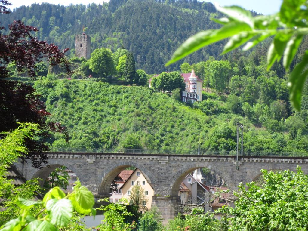 Hotel Schloss Hornberg Exterior foto